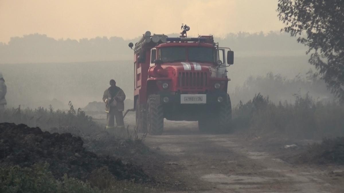 Пожары в пригородах Воронежа и в Воронежской области